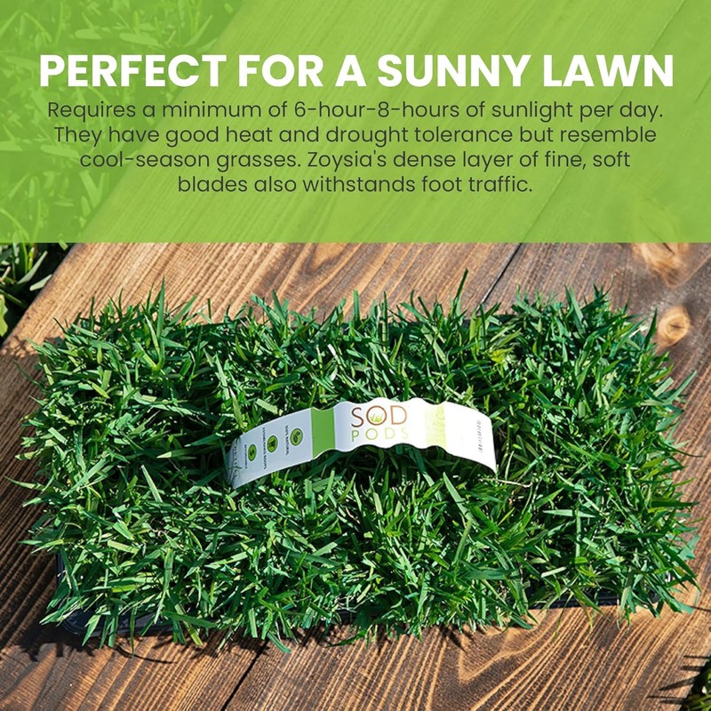 SodPods® Zoysia Grass Plugs for Lawn Repair, 3" x 3"