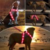 ChalkLit Light Up Dog Harness, Reflective Led Dog Harness Glow-in-The-Dark