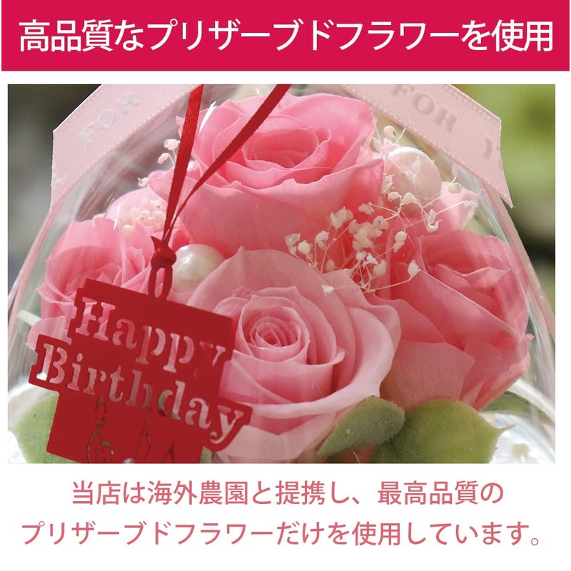 IPFA Preserved Flower Glass Dome Angel Premium (Pink/Birthday Model), Wedding