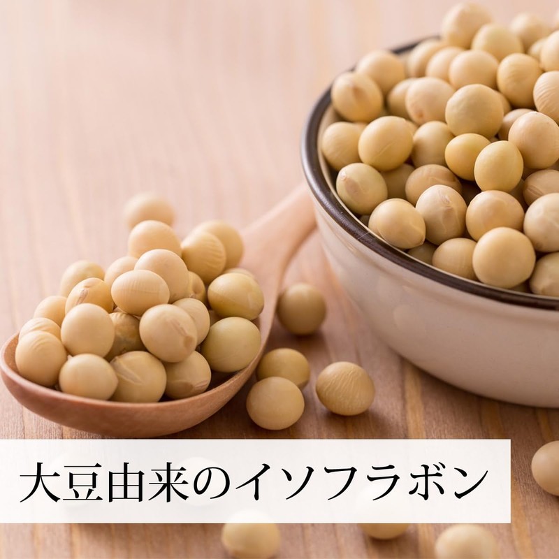 自然健康社 大豆イソフラボン パウダー 100g サプリ アグリコン型 サプリメント 粉末