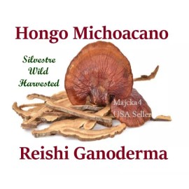 majcka4 Hongo Michoacano REISHI rebanadas  1/2 oz Ganoderma Reishi Slices Mushroom/