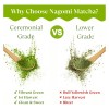 Nagomi Matcha Té Verde Matcha Orgánico Ceremonial Nagomi 100