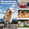 Dog Shoes, Otunrues Dog Shoes for Small Medium Large Dogs,