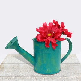 Better Crafts Metal Watering Can