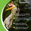 NaturesPlus FurBaby Probiotic for Dogs - 9.5 oz - Supports