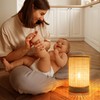 Battery Operated Lamp Boho Rattan Table Lamp with Timer, Battery