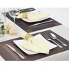 Surmente 17-Inch Polyester Cloth Napkins Linen Dinner Napkins - Set