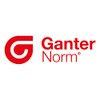 Ganter Normelemente GN 717-5-M10X1-BK-ST - Locking Bolt, Silver, Pack of