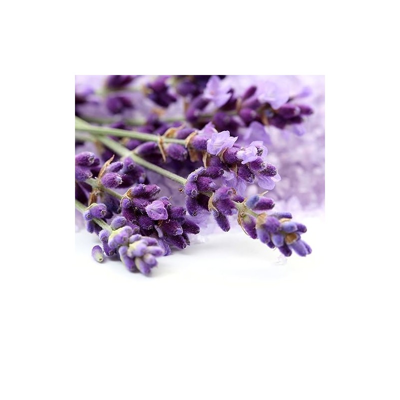 OliveNation Premium Lavender Extract from Natural Flavors, Light Floral Flavoring