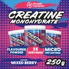 Protein Dynamix - Creatine Monohydrate Powder • Mixed Berry Flavour