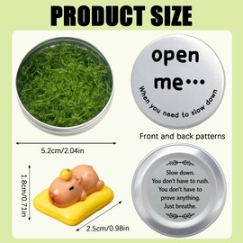Capybara Figures in a Tin, Mini Capybara Figurine with “Open Me” Message