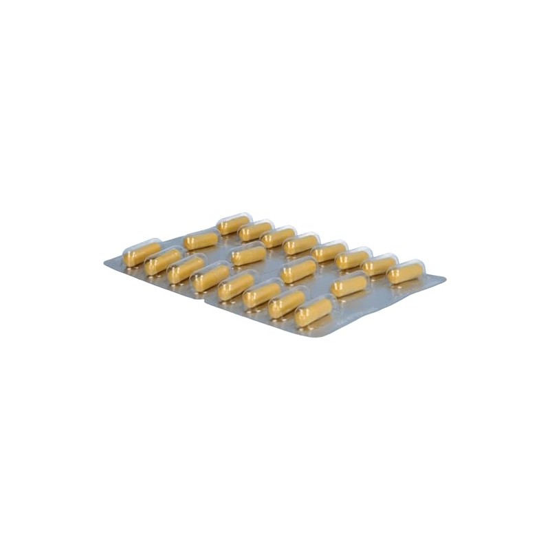 Doppelherz Liver Plus | With choline as a contribution to