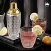 4 Pcs Cocktail Set Mixing Tools for Drinks, Raisaplin Stainless