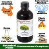 Essential Depot Camphor Essential Oil - 4 oz - GC/MS