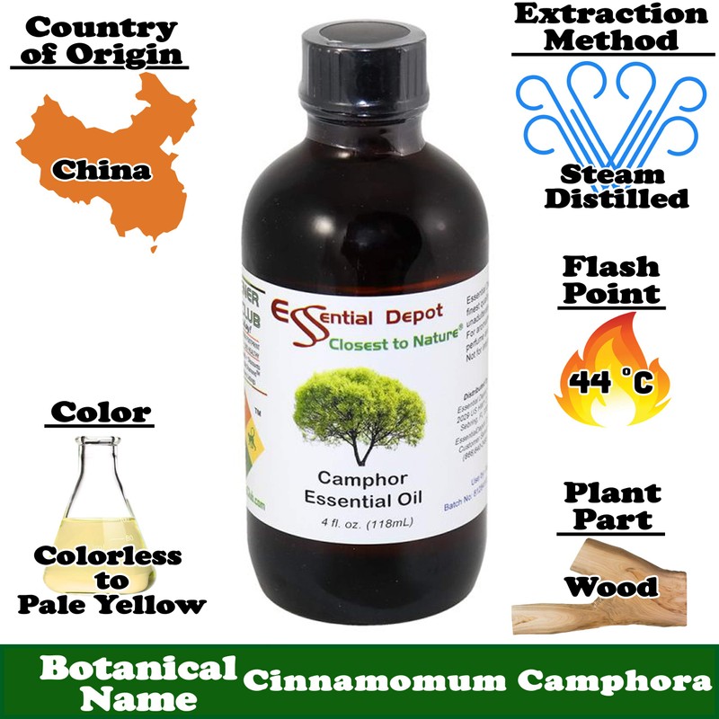 Essential Depot Camphor Essential Oil - 4 oz - GC/MS