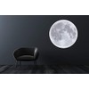 Moon Wall Decal Room Decor - Bedroom Wall Stickers -