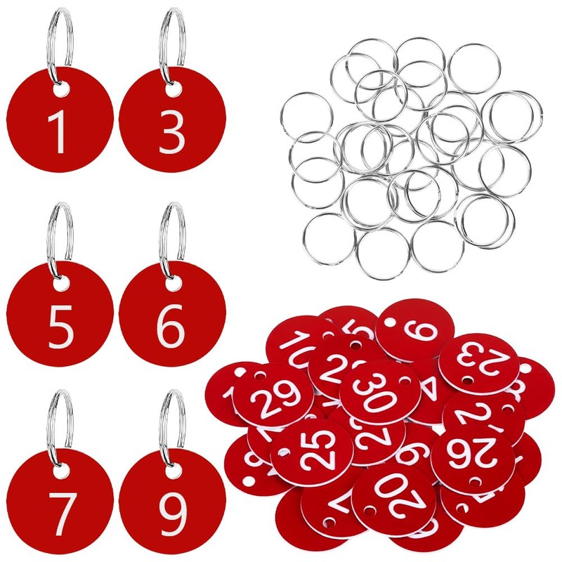 Flintronic Portachiavi Numerati, Targhette Numerate in Plastica, 30 Pezzi