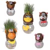 Out of the blue Grass Head on Vase with Funny