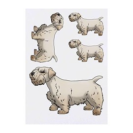 Azeeda 4 x 'Sealyham-Terrier' Temporäre Tattoos - Wasserfest, Hautfreundlich & Ungiftig · Transfers in Verschiedenen Größen (TO00056674)