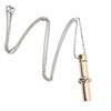 Ashes Necklace 316L Stainless Steel Oxidation Resistant Memorial Cremation Jewelry