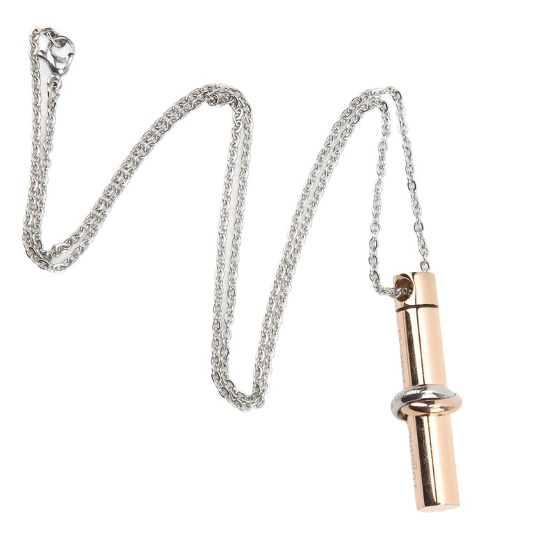 Ashes Necklace 316L Stainless Steel Oxidation Resistant Memorial Cremation Jewelry