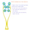 SinLoon Face Massager, Facial Massage, Flower Type Massage Roller for