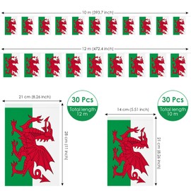 AhfuLife Welsh Flag Bunting 30pcs Flags, 10m Double Sided Wales Welsh Dragon Bunting for Rugby Football St David's Day World Cup 2023 Party Decorations