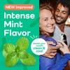 Plackers® Micro Line® Floss Picks - Intense Mint, Floss Fiber