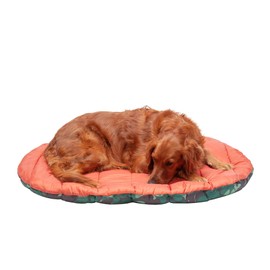 Furhaven Outdoor Travel Dog Bed for Large/Medium Dogs w/ Carry Bag, Washable & Foldable, Great for Crates & Kennels - Trail Pup Travel Pillow Mat w/ Stuff Sack Bag - Paprika/Camo-Paw, Large