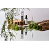 NATYR - Face Cream for Men - Moisturising & Anti-Ageing