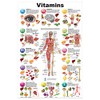 Blue Tree Publishing Vitamin and Anatomy Education (Poster, 12 *