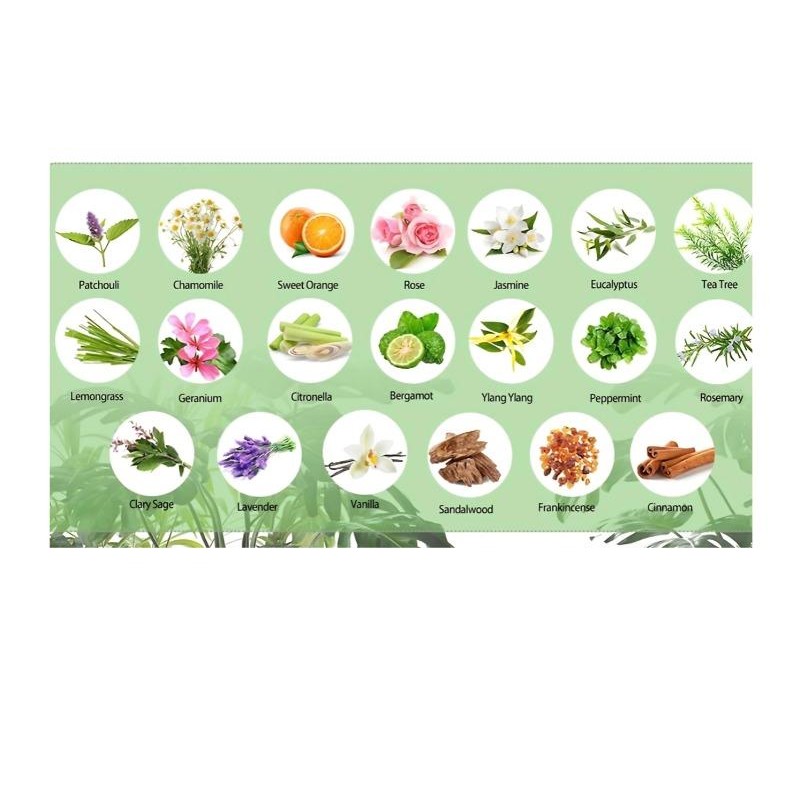 Designed to Replace Chemicals - All-in-One Cleaner for Streamlined Storage