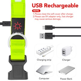 Vizpet LED Dog Collar, Light Up Dog Collar Adjustable USB Rechargeable Super Bright Safety Light Glowing Collars for Dogs(Medium,Green)