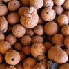Hydro Clay Pebbles (Leca) Orchid/Hydroponic Grow Media - 10 lbs.