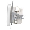 Busch-Jaeger Socket Insert AWS 20 EUC-214 (Pack of 10)