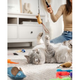 lionto Cat Toy 14 Piece Set Including Telescopic Tackle 12 Pendants with Bell and Plush Mouse Cat Fishing Rod with Padded Handle Catnip and Valerian Filled Toy Mice