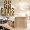 Disposable Palm Leaf Plates - 25 Pack - Compostable and