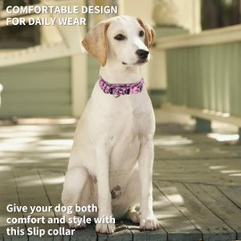 haoyueer Martingale Dog Collars - Flower Multicolor Cute Patterns, Adjustable Nylon Training Dog Collar Suitable for Boy and Girl Dogs Medium Large Dogs (16, M)