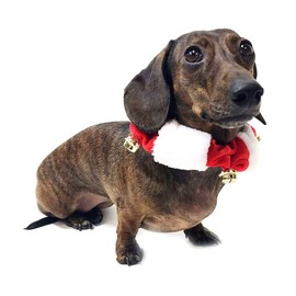 Midlee White/Red Dog Christmas Plush Jingle Bell Collar (Large)