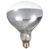 Little Giant® Bulb for Brooder Lamp | Heat Lamp |
