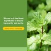 Natural Factors - Peppermint Oregano Oil Complex, Support for Gastrointestinal