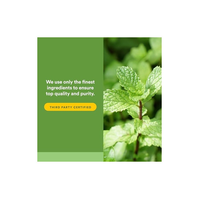 Natural Factors - Peppermint Oregano Oil Complex, Support for Gastrointestinal