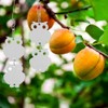 Outdoor Garden Hanging Reflective Deterrent Owl Bird Repellent Garden Supplies