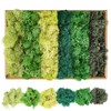 XIEJ Iceland Moss - Moss in 6 Different Colours, 240