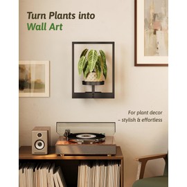 GENTINGBRO Wall Planters for Indoor Plants Wall-Mounted Plant Holder Outdoor Metal Hanging Planters Outdoor Plant Stand Indoor for Living Room, Window, or Balcony – Black Modern Design