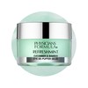 Physicians Formula RefreshMint Cucumber & Bamboo Eye De-Puffer Gelée