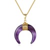 COAI Crescent Moon Crystal Amethyst Necklace for Women