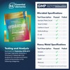 Essential Elements Hydration Packets - Electrolytes Powder Packets Sugar Free