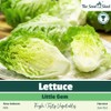 Lettuce Little Gem Seeds – Sweet & Crunchy – Fast-Growing,