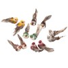 12Pcs Simulation Foam Bird Artificial Bird Decor with Clip Fixing